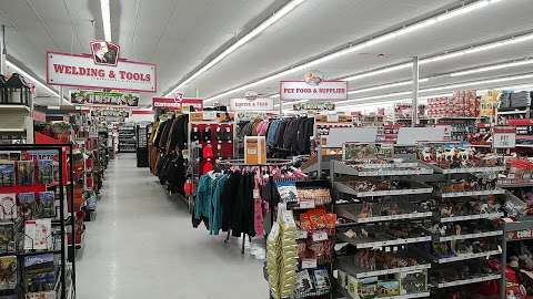 Jobs in Tractor Supply Co. - reviews